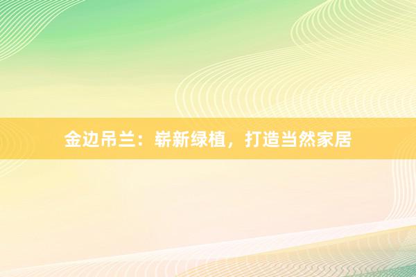 金边吊兰:崭新绿植,打造当然家居
