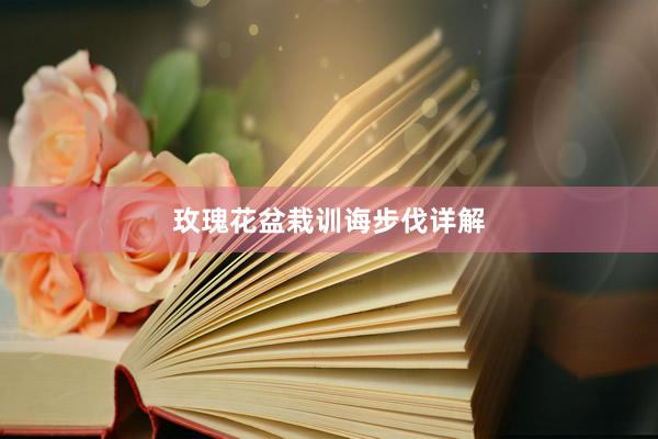 玫瑰花盆栽训诲步伐详解
