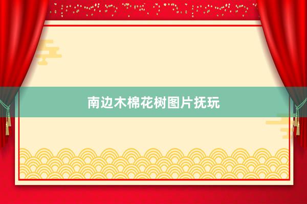 南边木棉花树图片抚玩