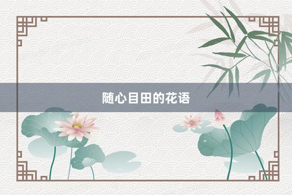 随心目田的花语