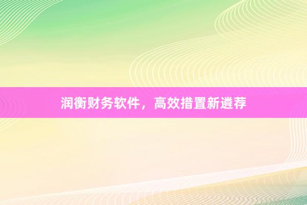 润衡财务软件，高效措置新遴荐