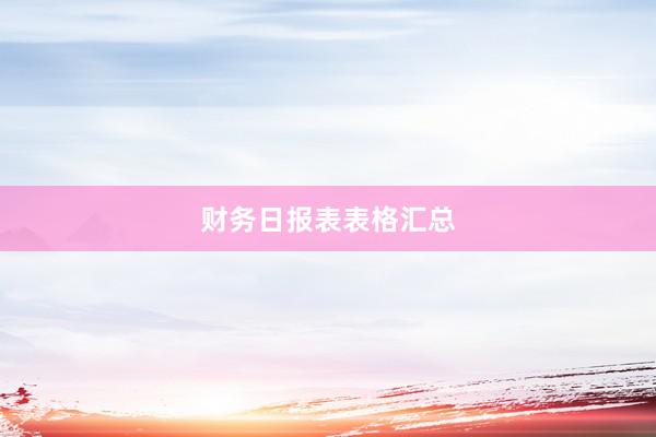 财务日报表表格汇总
